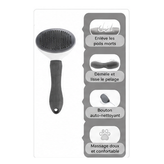 Pack Maison Propre – Brosse Auto-Nettoyante & Rouleau Anti-Poils