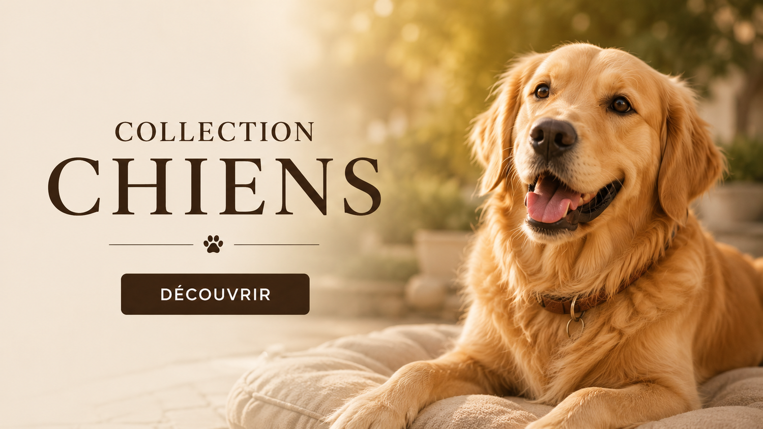 CHIENS