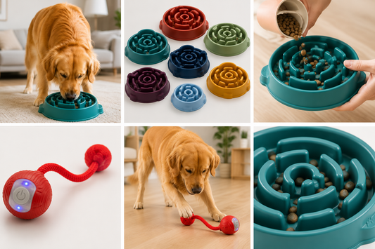 Pack Chien Actif – Jouet interactif & Gamelle Anti-Glouton