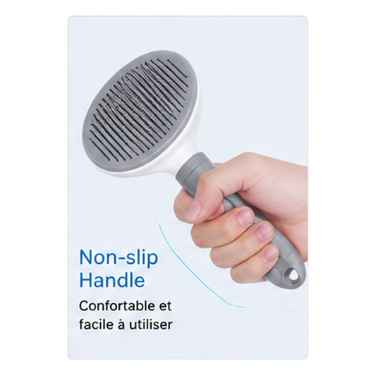 Pack Maison Propre – Brosse Auto-Nettoyante & Rouleau Anti-Poils