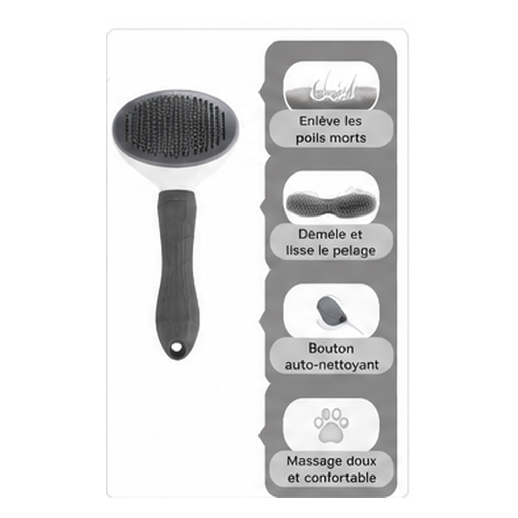 Pack Maison Propre – Brosse Auto-Nettoyante & Rouleau Anti-Poils